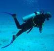 the history of scuba diving