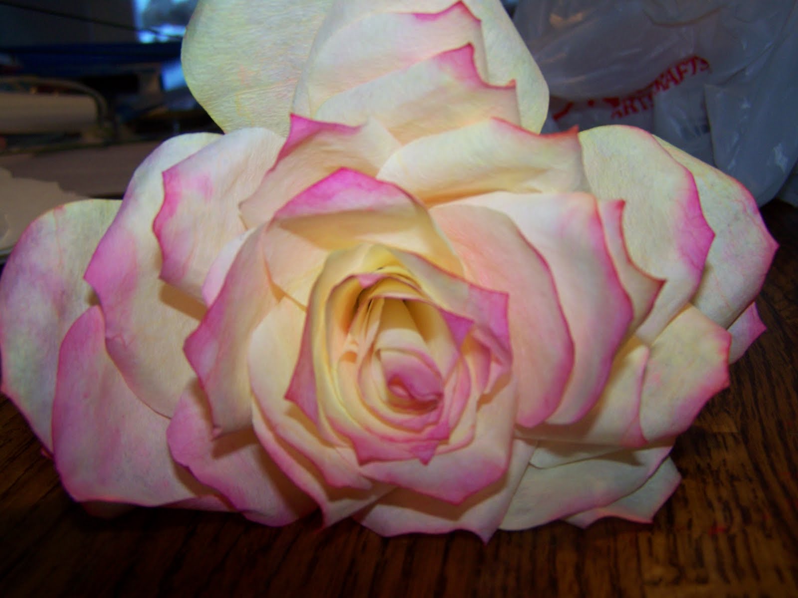 You can make that Coffee filter roses