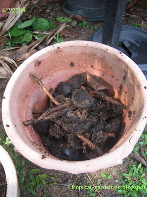 organic compost malaysia slow decomposers