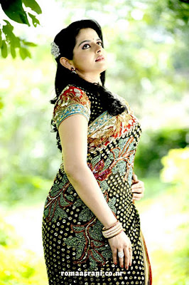 Collections Celebrity Malayalam Film Industry Actress Roma Photo Collection In Saree