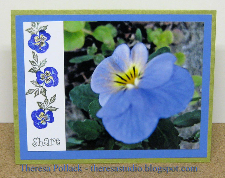 [STVINSPIRE5-1-12-10.jpg]