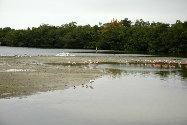 [004-DDWR-1-31-10-edt.jpg]