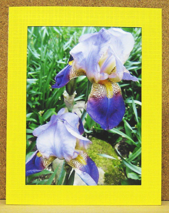 [Iris-Card-Series--09-09-004.jpg]