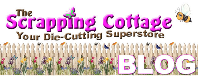 [SC-HomePage-BLOG.jpg]