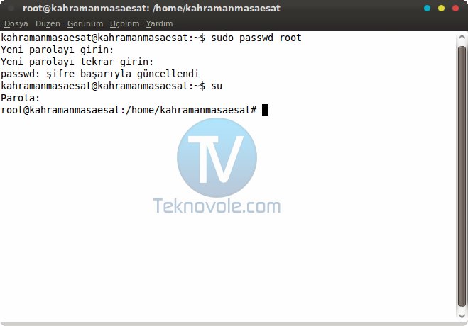 [sudo-passwd-root.jpg]