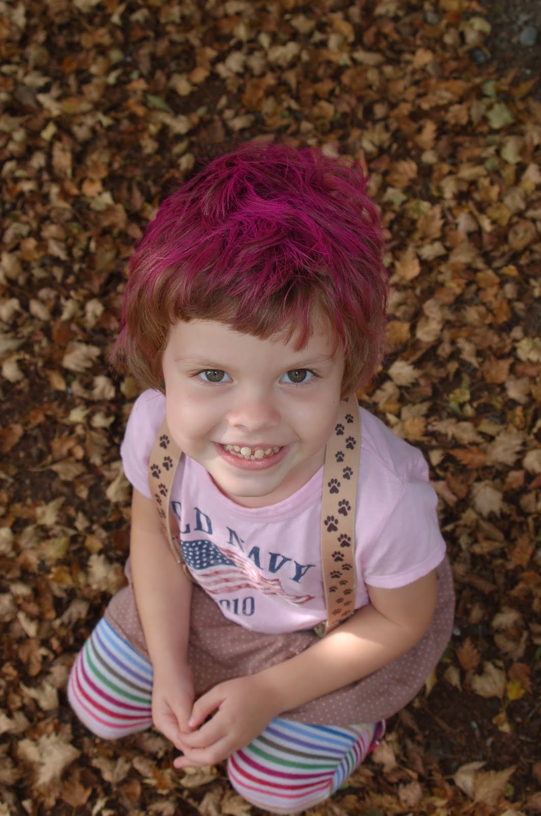 Llama Wanderings Millikins Purple 4 Year Old Hair