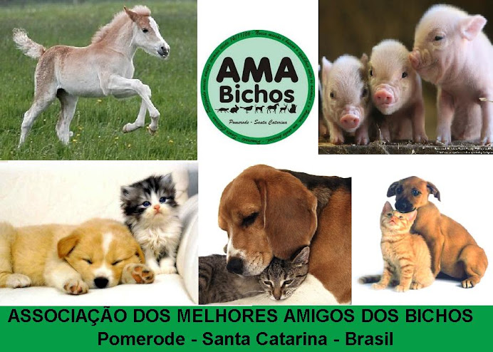 AMA Bichos