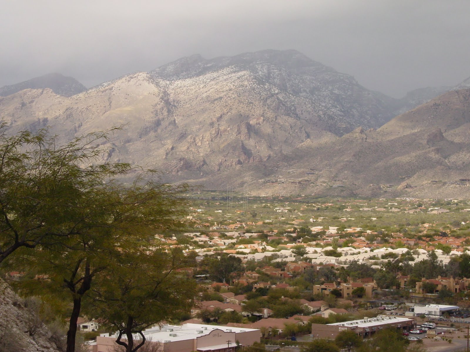 tucson-daily-happenings-cold-temperatures-and-snow-welcome-the-tucson