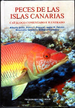 Peces de Canarias (libro), de A. Brito, P. Pascual, A. Sancho et al.