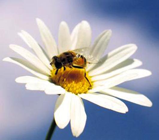 [412CF81E9171D64F99BF15D2r.jpg]