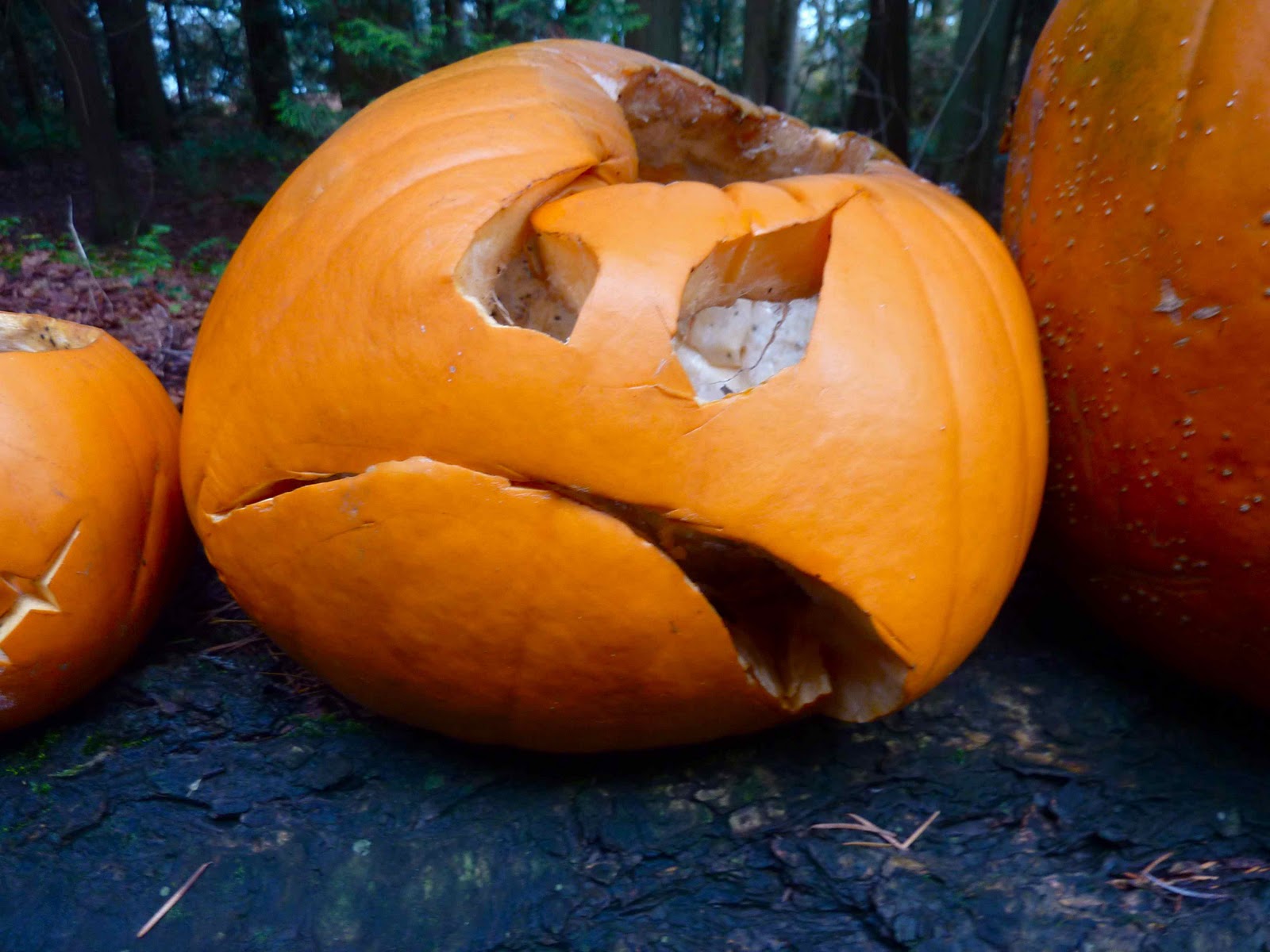 Up on Haliburton Hill Pumpkin graveyard