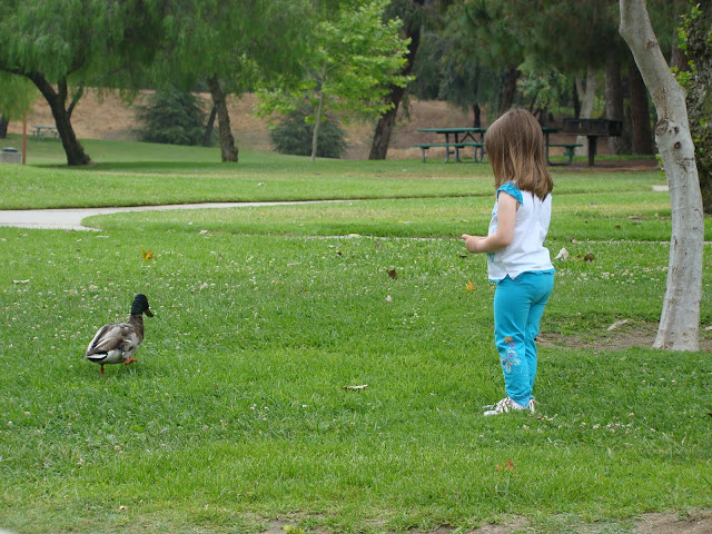 Ralph B. Clark Regional Park, Buena Park - Toddler Trails