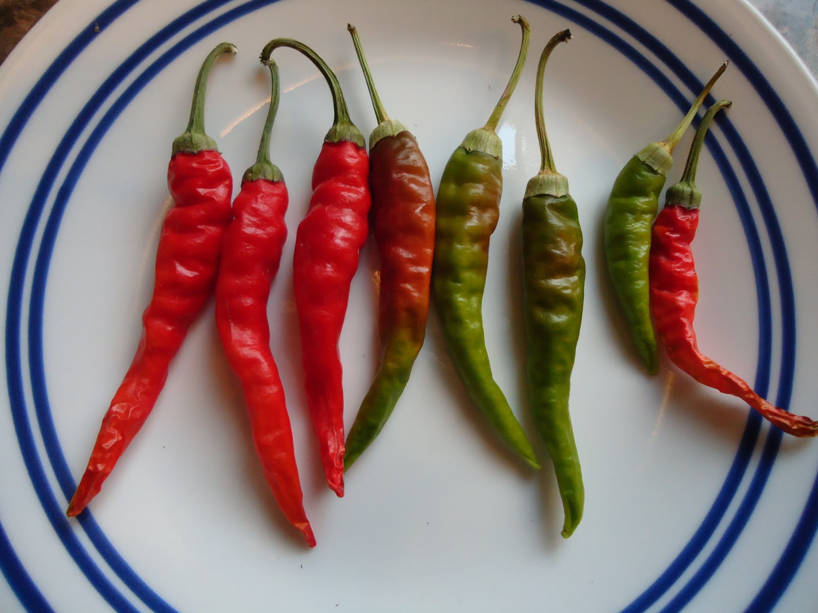Thyme To Garden Now Slow Ripening Peppers