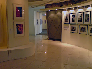 german photography, photography, exhibit, zeitgeist, zeitgeist becomes form, goethe-institut, goethe, institut, makati, yuchengco, rcbc, sony ericsson, jaypee david, enjayneer, bangis, holy angel university, iecep, ece