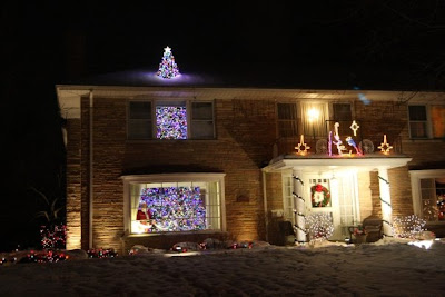 Huge Indoor Christmas Tree