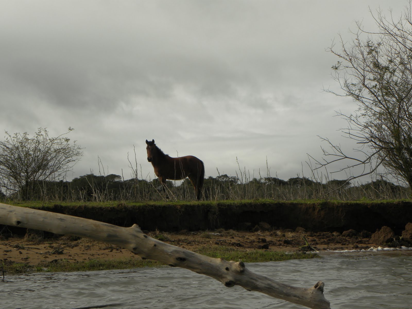 KAYAKS e TRALHAS Aventuras DELTA DO JACUÍ II