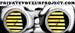 Private Voyeur Project