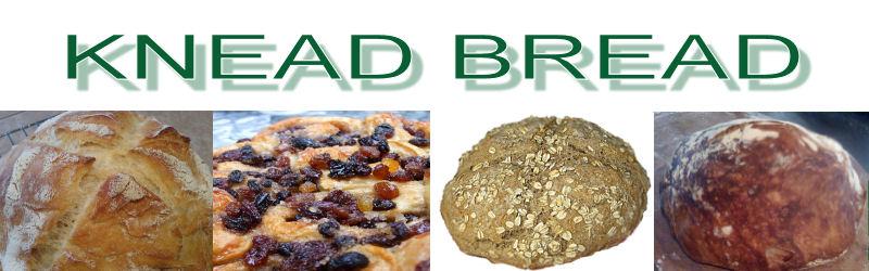 Knead Bread