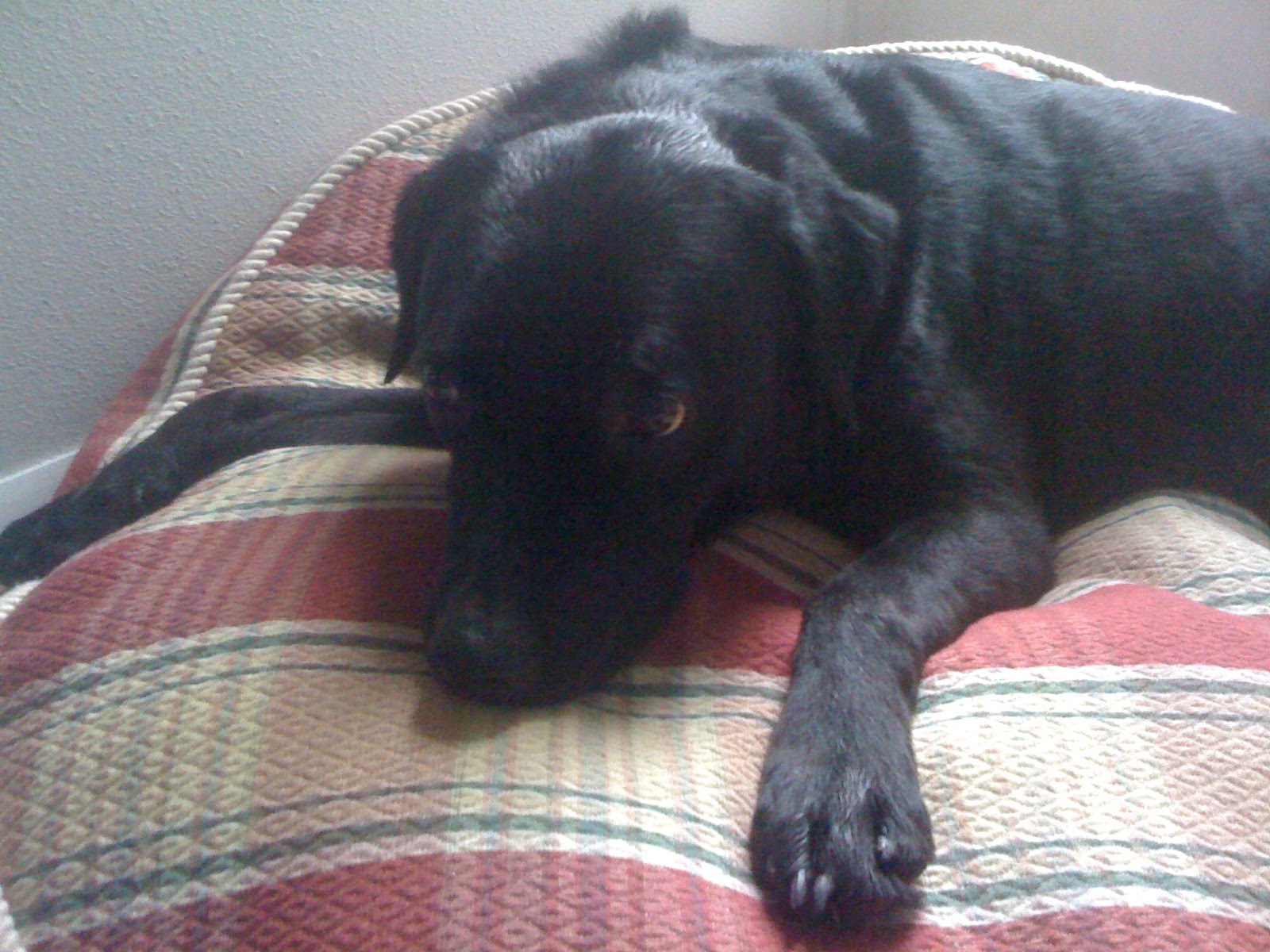 [IMG_2993-708836.JPG]