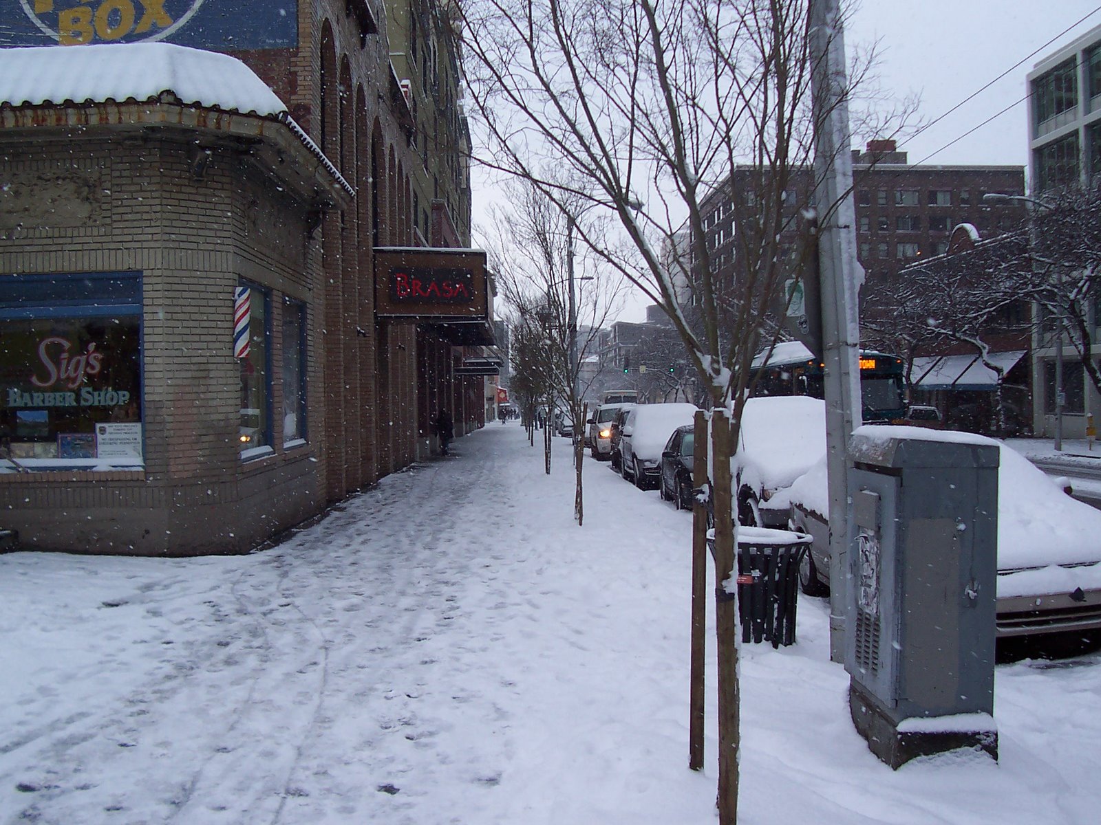 [Snow+Day+001.jpg]