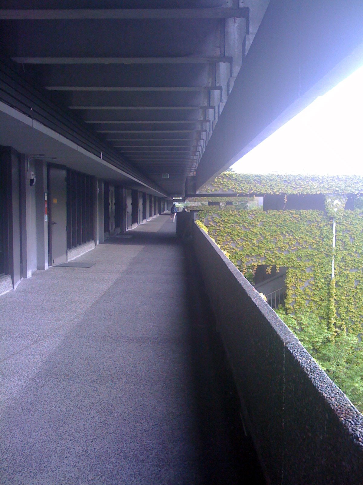 [IMG_0633-736959.JPG]