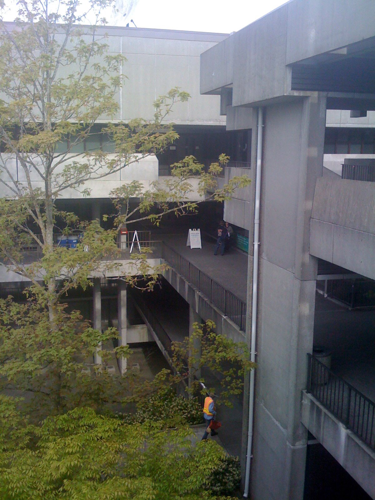 [IMG_0637-737381.JPG]