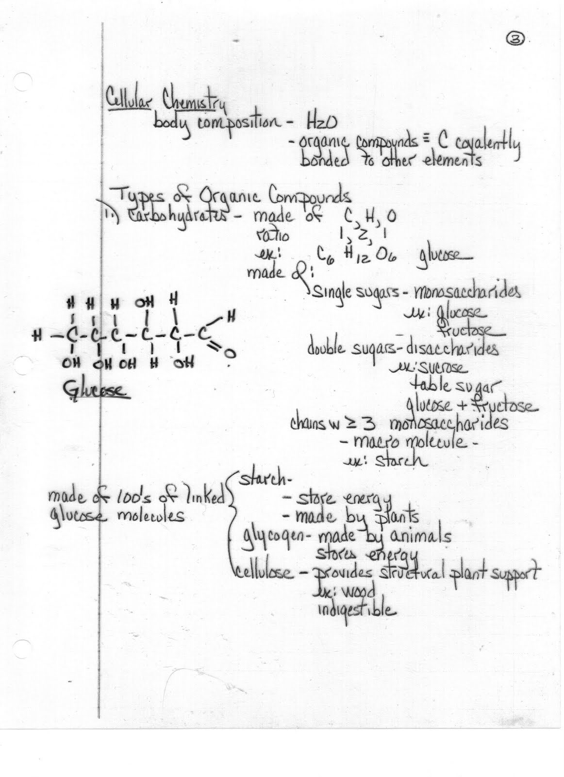 Ms. Friedman's Biology Class Biochemistry Notes