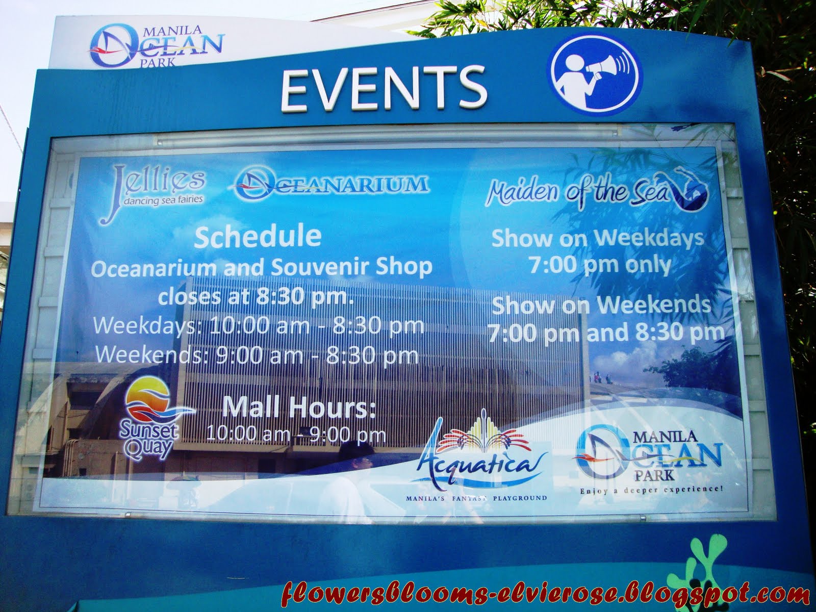 FLOWERSBLOOMS by "Elvie" Experience the Great Attractions at the