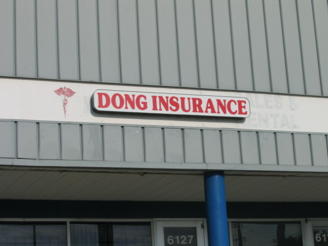 [dong+insurance.JPG]