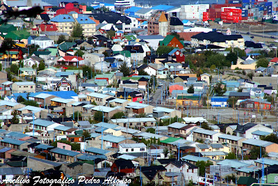 Zorro a la vista en ushuaia map