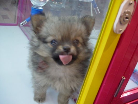 [y1pJQTX98fhQ8ybVvoTZqQoBjqCy5HogzQUTOnj_kY_lFpd-yfiM8jc-7CUk8H3q-G2.jpg]