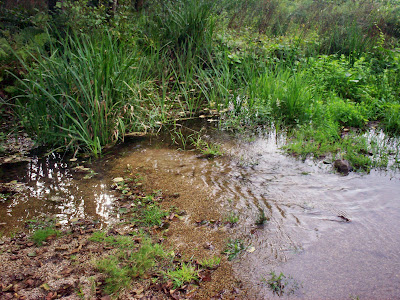 Navarra - Rio Cávado