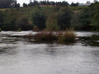 Navarra - Rio Cávado