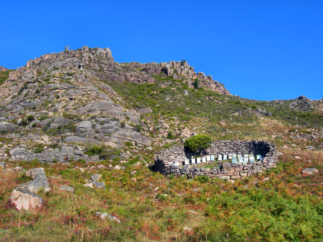 Paisagens de Portugal - Apicultura de Montanha