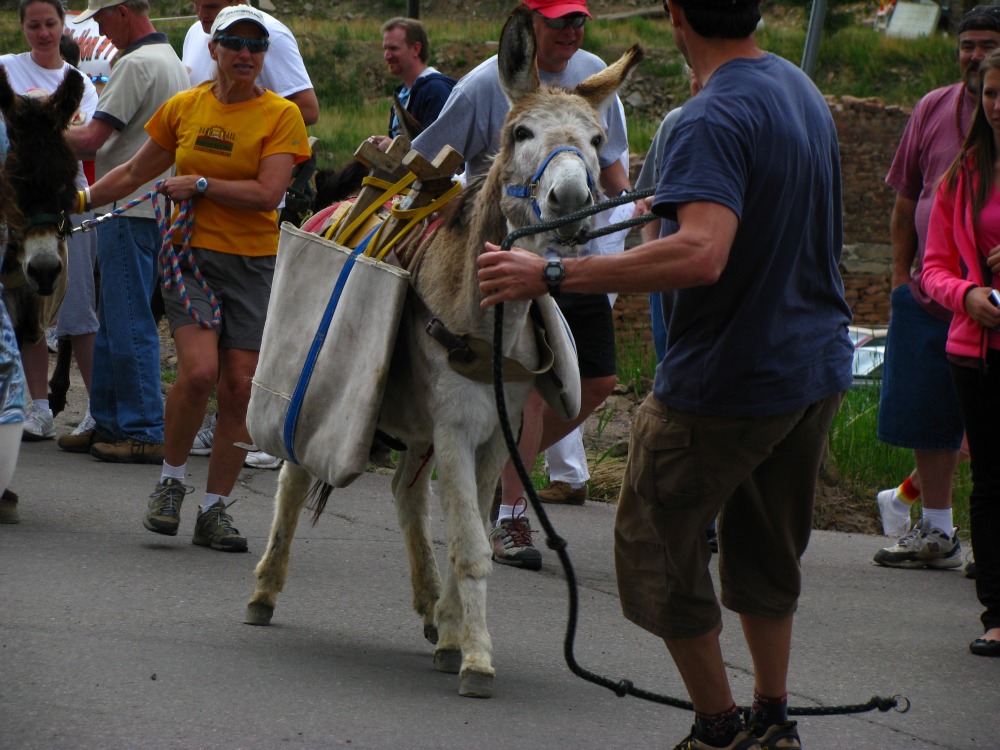 boston tobacco birkenstock