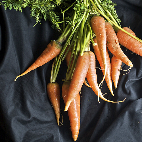 Javaholic Roasted Carrot Cumin Dip