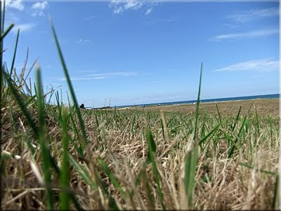 Omaha beach a ras del suelo