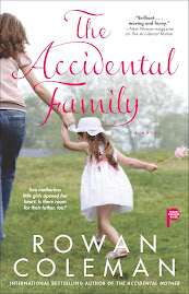 The Accidental Family U.S cover