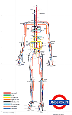 Mapa de metro de la Fisiología humana