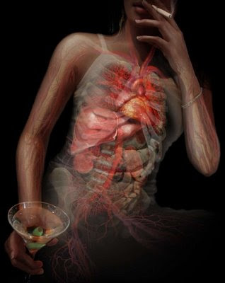Anatomía - Imágenes del cuerpo humano transparente III