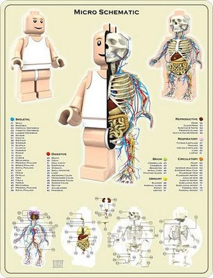 Anatomía de un LEGO