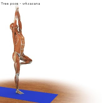 Hatha Yoga en imágenes