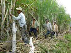 EL CONVITE