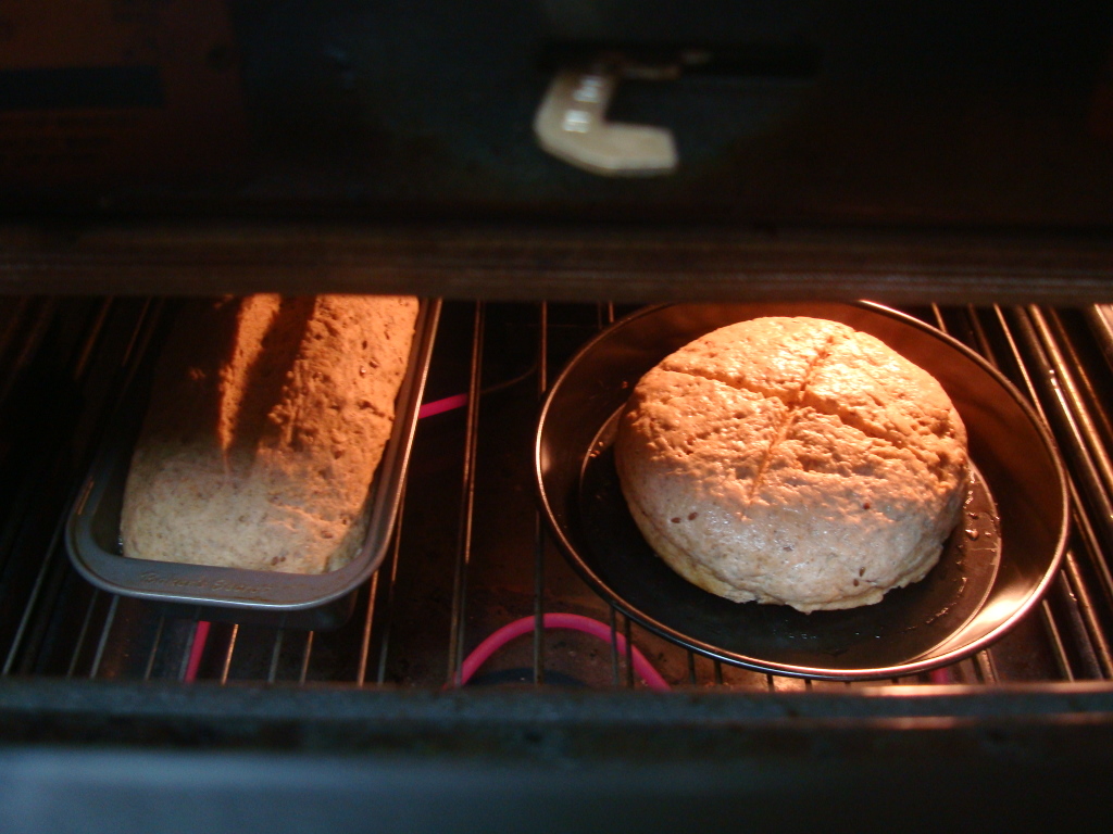 bread Baking Experiment My 101st experiment cast iron burnt round loaf