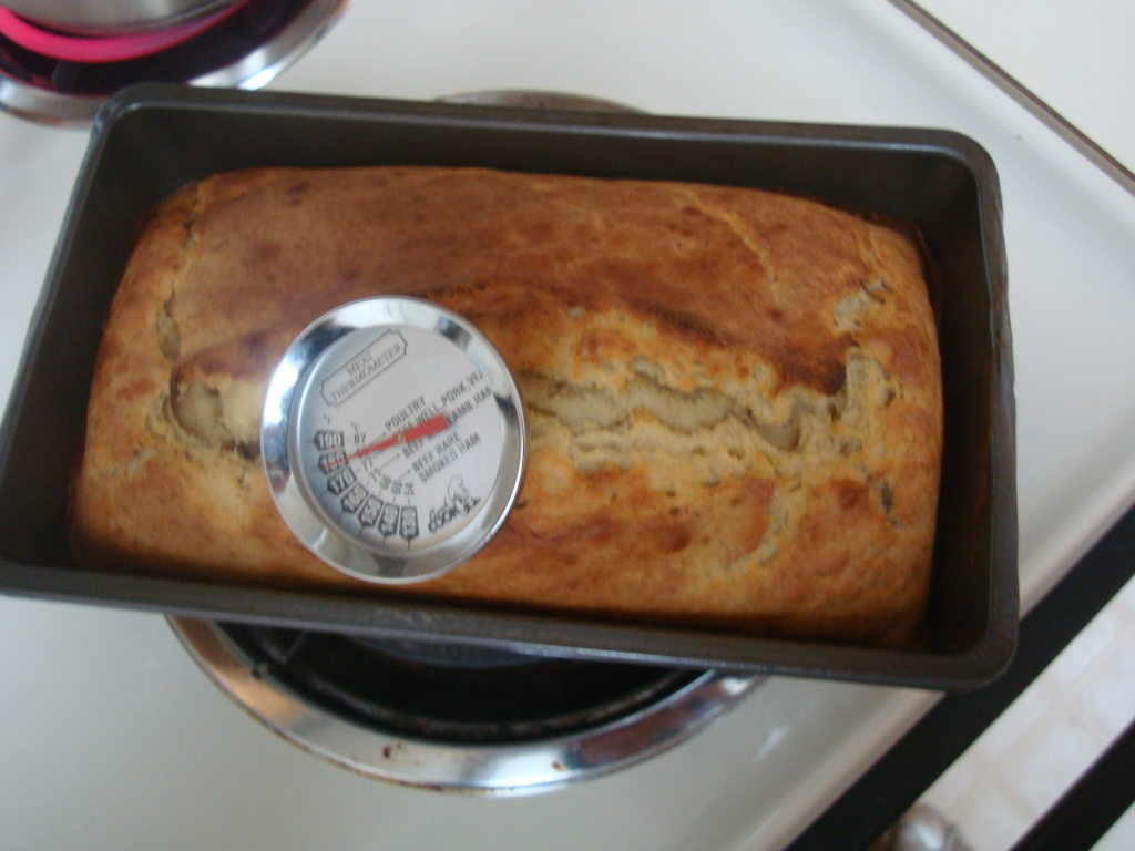 bread Baking Experiment My 117th experiment Banana bread