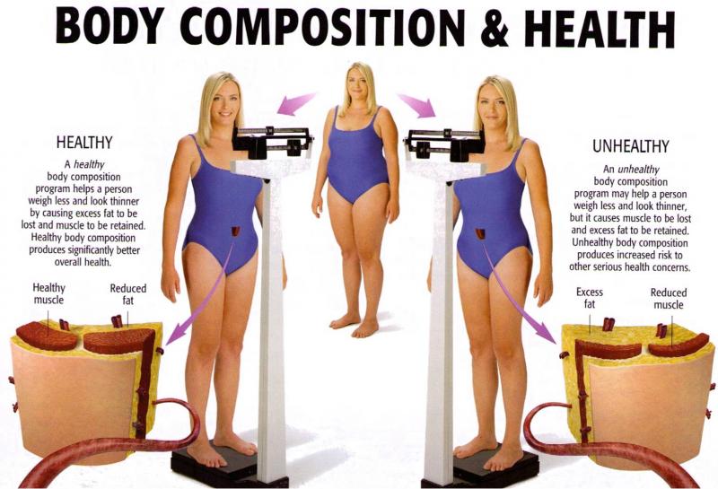 Body Composition Fat Muscle 75