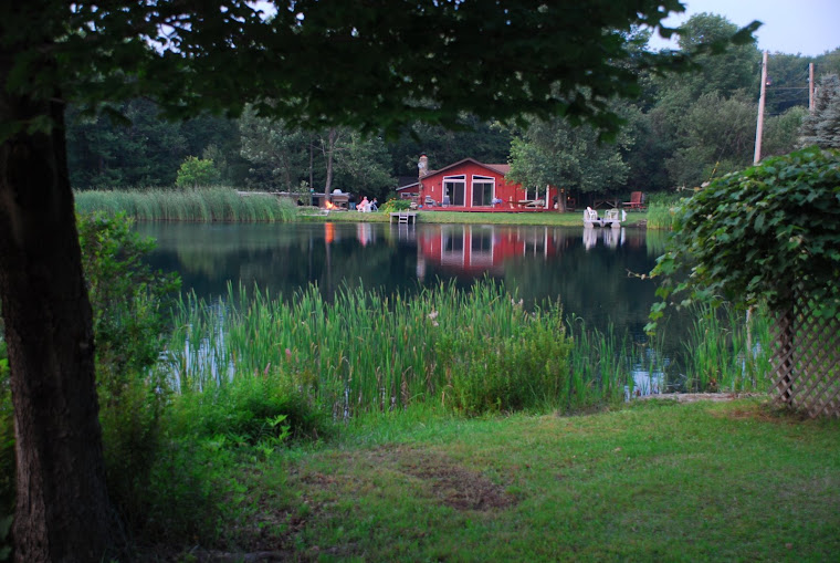 Lavern and Bob's House Across the Pond in Upper PA