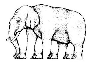 Pa amb tomàquet: LOS ENGAÑOS VISUALES