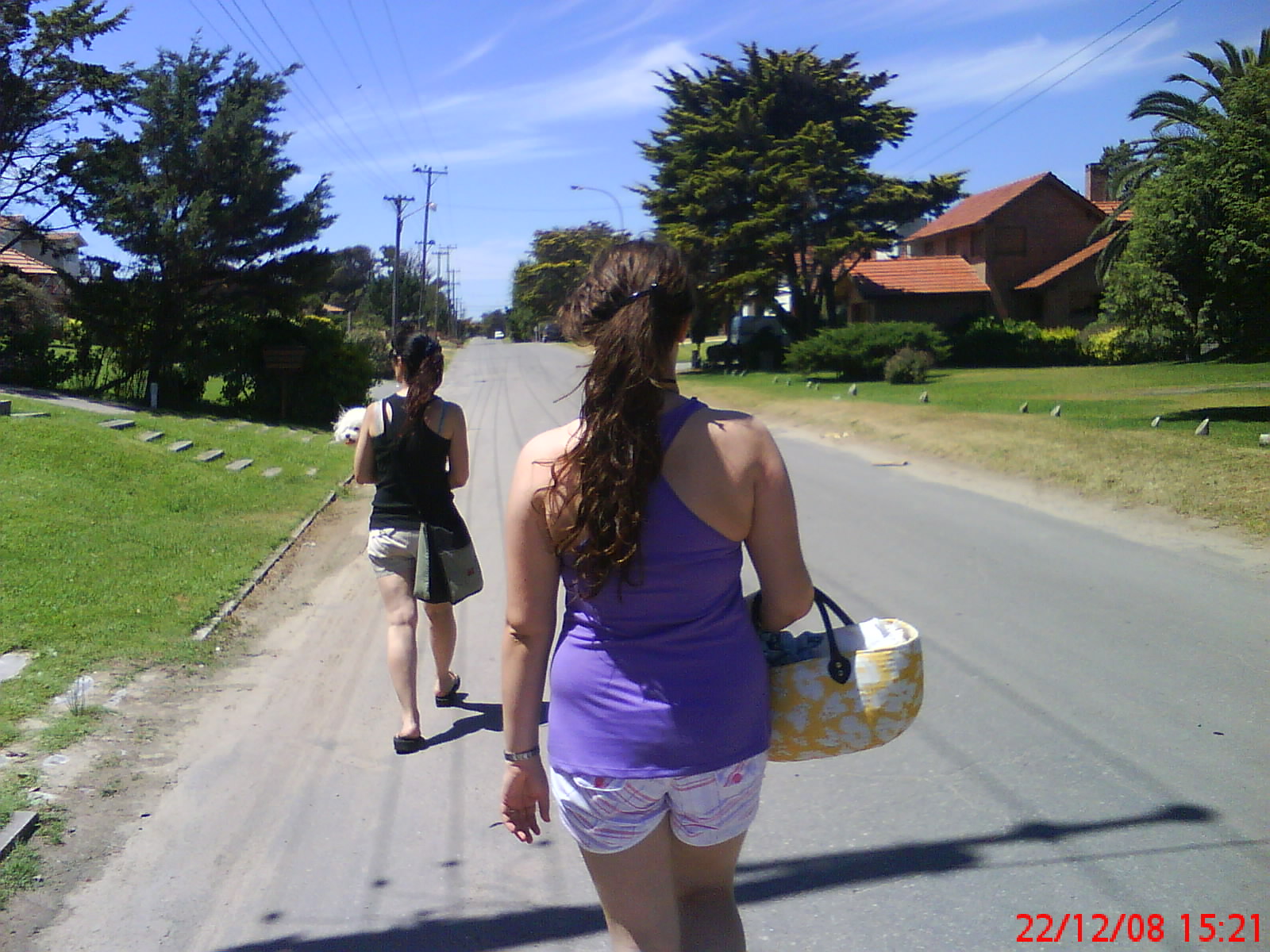[DSC02475.JPG]