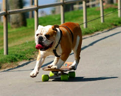SKATE, AY ALGO MEJOR: Tony Howk y Steve Caballero